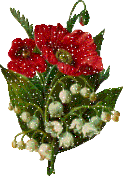 Si je suis une Rose 